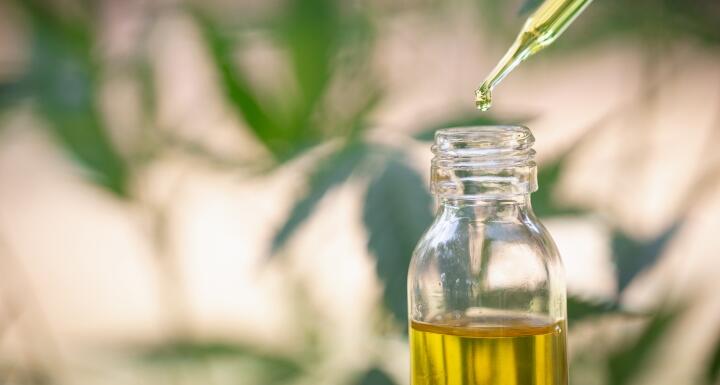 CBD oil and blurred hemp plan image