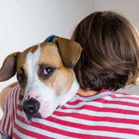 Boy hugging dog