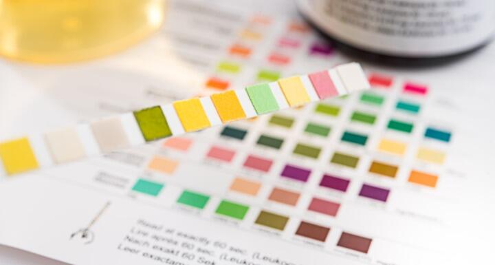 Litmus paper drug test