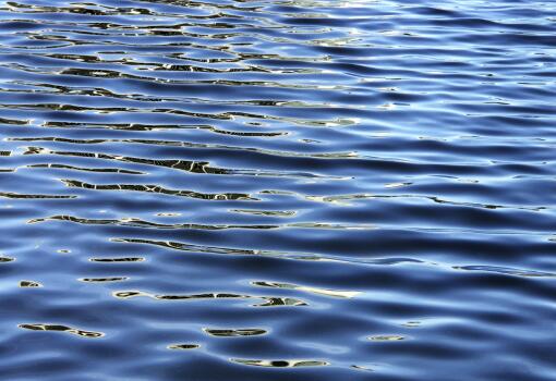 Water of the Neuse River