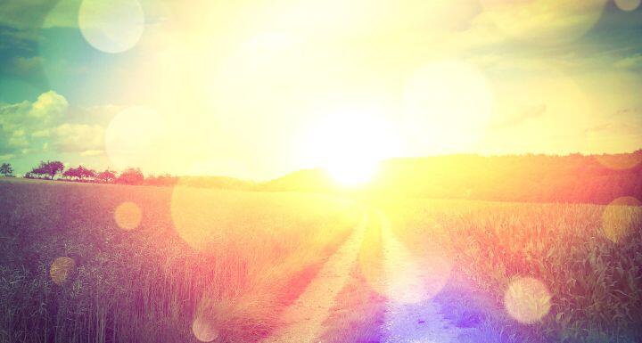 Sunny way