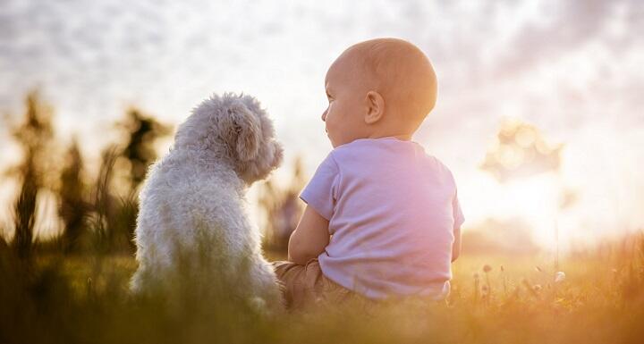 Toddler and dog sitting outside on sunny day